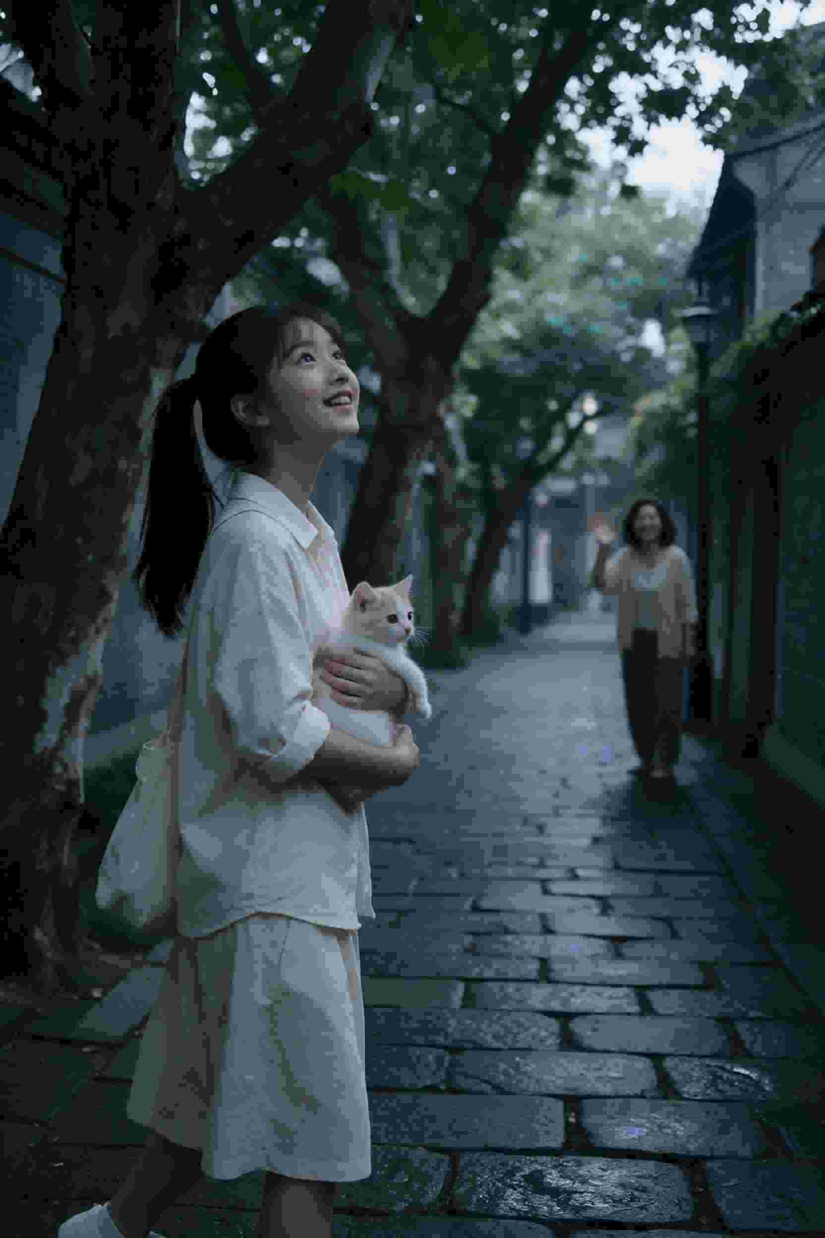 校园青春